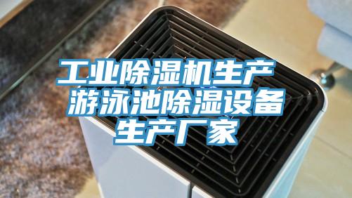 工業91看片软件大全生產 遊泳池除濕設備生產廠家