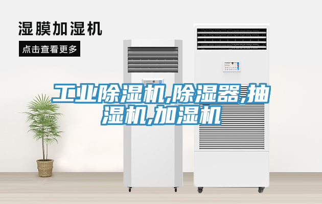 工業91看片软件大全,除濕器,抽濕機,加濕機