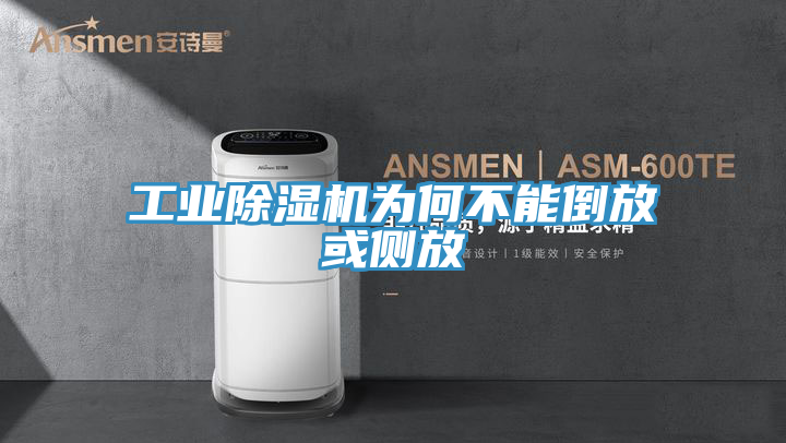 工業91看片软件大全為何不能倒放或側放