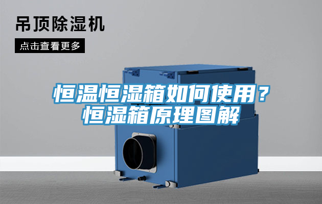 恒溫恒濕箱如何使用？恒濕箱原理圖解