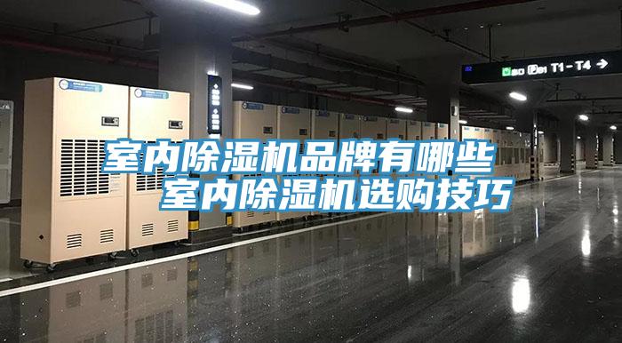 室內91看片软件大全品牌有哪些   室內91看片软件大全選購技巧