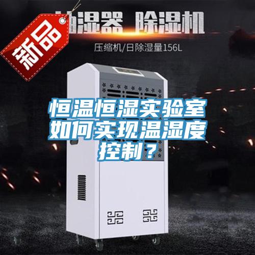 恒溫恒濕實驗室如何實現溫濕度控製？