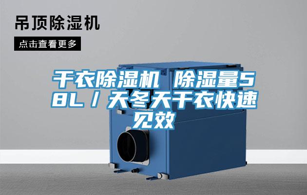 幹衣91看片软件大全 除濕量58L／天冬天幹衣快速見效