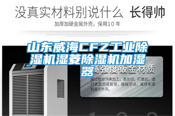 山東威海CFZ工業91看片软件大全濕菱91看片软件大全加濕器