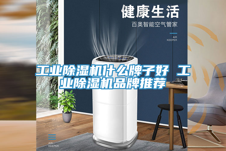 工業91看片软件大全什麽牌子好 工業91看片软件大全品牌推薦