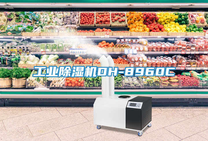 工業91看片软件大全DH-8960C
