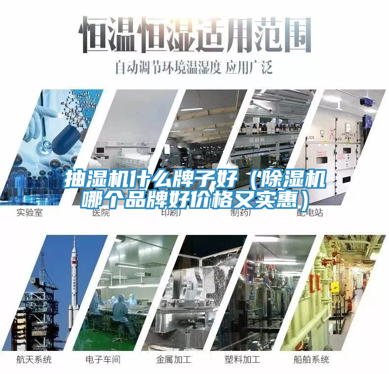 抽濕機什麽牌子好（91看片软件大全哪個品牌好價格又實惠）