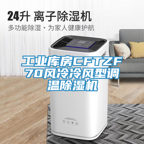 工業庫房CFTZF70風冷冷風型調溫91看片软件大全