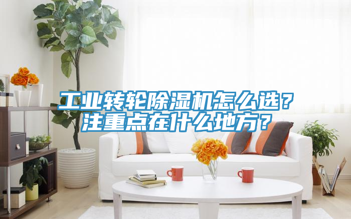 工業轉輪91看片软件大全怎麽選？注重點在什麽地方？