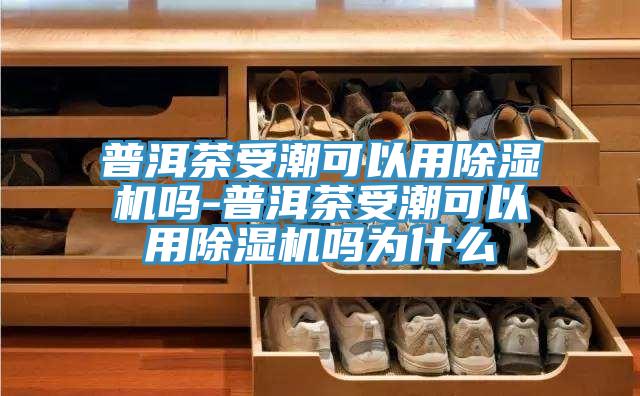 普洱茶受潮可以用91看片软件大全嗎-普洱茶受潮可以用91看片软件大全嗎為什麽
