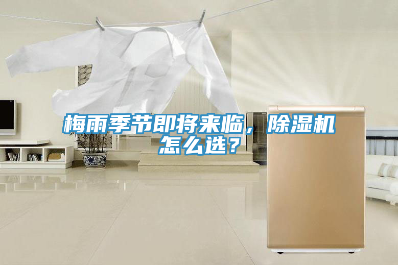 梅雨季節即將來臨，91看片软件大全怎麽選？