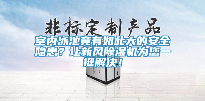 室內泳池竟有如此大的安全隱患？讓新風91看片软件大全為您一鍵解決！