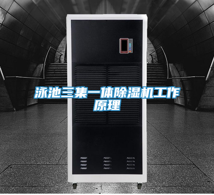 泳池三集一體91看片软件大全工作原理