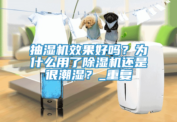 抽濕機效果好嗎？為什麽用了91看片软件大全還是很潮濕？_重複