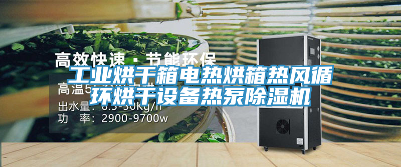 工業烘幹箱電熱烘箱熱風循環烘幹設備熱泵91看片软件大全