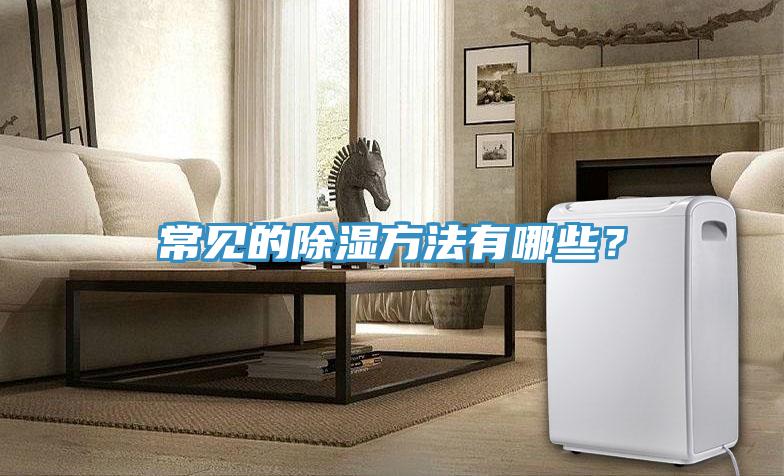 常見的除濕方法有哪些？