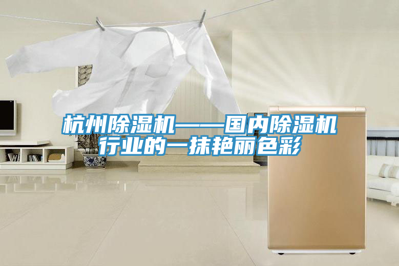 杭州91看片软件大全——國內91看片软件大全行業的一抹豔麗色彩