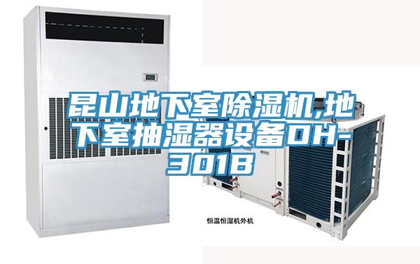 昆山地下室91看片软件大全,地下室抽濕器設備DH-301B