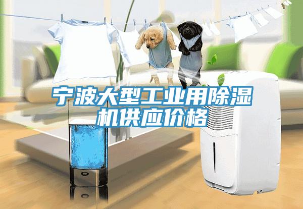 寧波大型工業用91看片软件大全供應價格