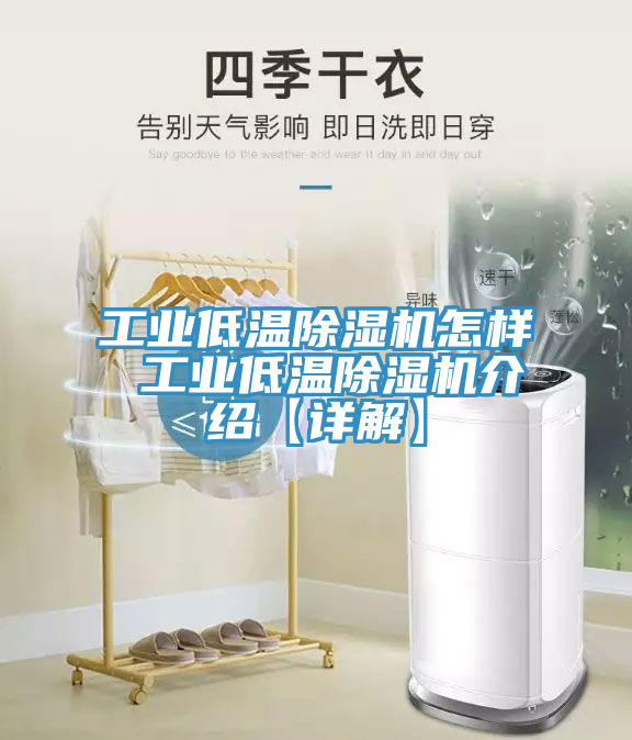 工業低溫91看片软件大全怎樣 工業低溫91看片软件大全介紹【詳解】