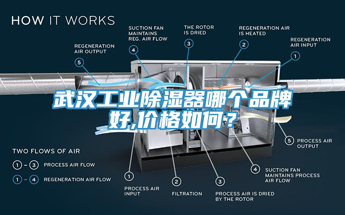 武漢工業除濕器哪個品牌好,價格如何？