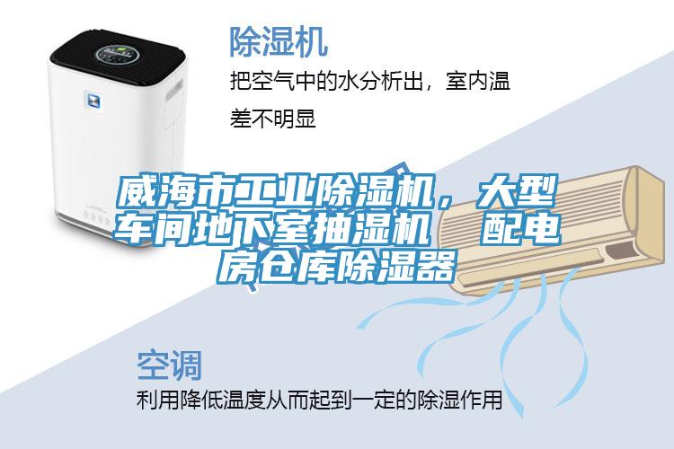威海市工業91看片软件大全，大型車間地下室抽濕機  配電房倉庫除濕器