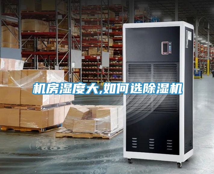 機房濕度大,如何選91看片软件大全