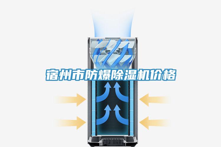 宿州市防爆91看片软件大全價格