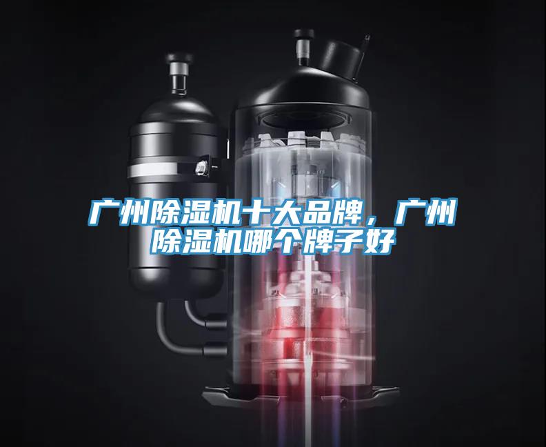 廣州91看片软件大全十大品牌，廣州91看片软件大全哪個牌子好