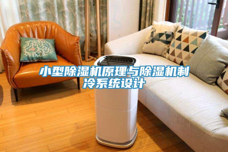 小型91看片软件大全原理與91看片软件大全製冷係統設計