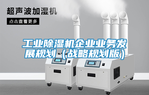 工業91看片软件大全企業業務發展規劃（戰略規劃版）
