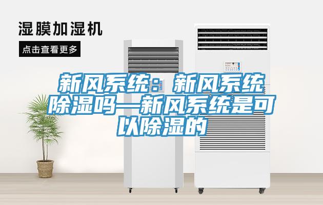 新風係統：新風係統除濕嗎—新風係統是可以除濕的