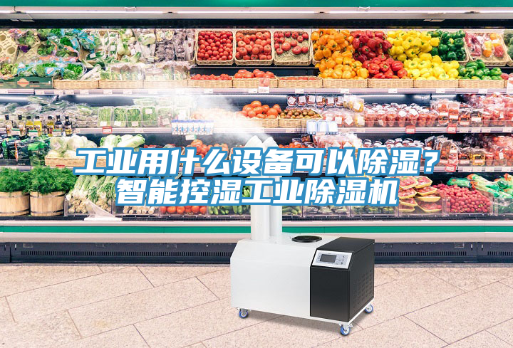 工業用什麽設備可以除濕？智能控濕工業91看片软件大全