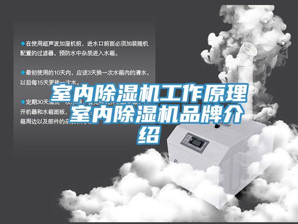 室內91看片软件大全工作原理 室內91看片软件大全品牌介紹