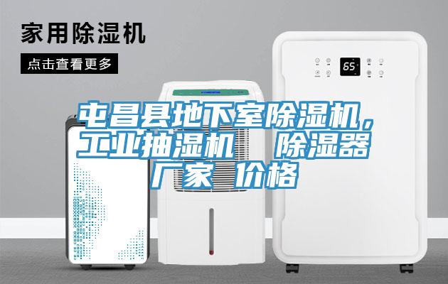 屯昌縣地下室91看片软件大全，工業抽濕機  除濕器廠家 價格