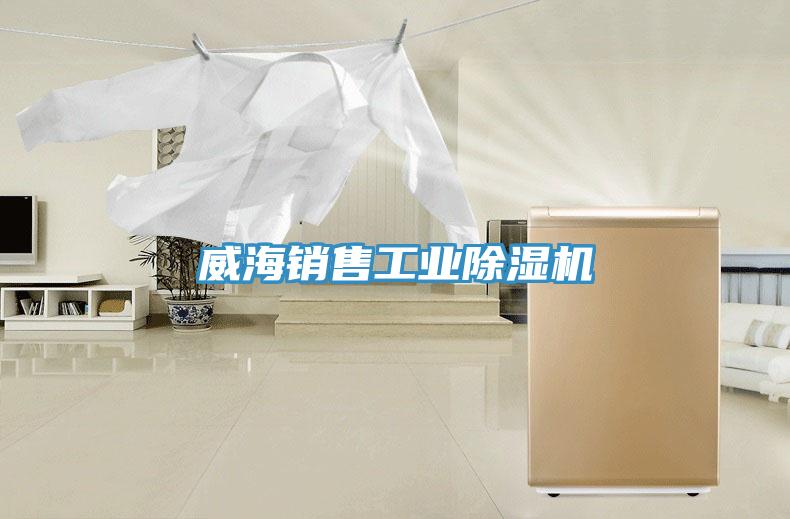威海銷售工業91看片软件大全