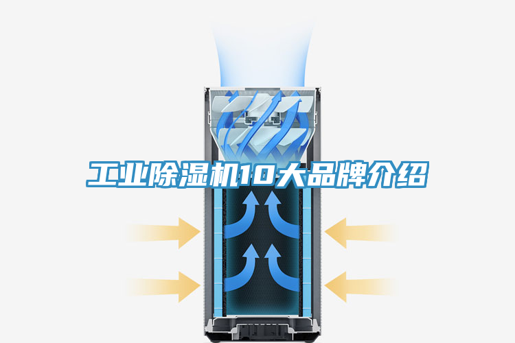 工業91看片软件大全10大品牌介紹