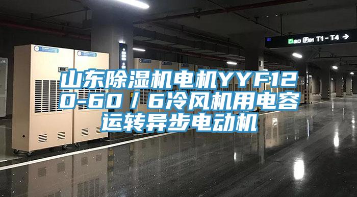 山東91看片软件大全電機YYF120-60／6冷風機用電容運轉異步電動機