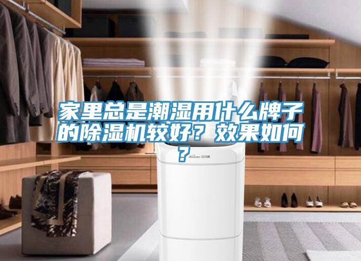 家裏總是潮濕用什麽牌子的91看片软件大全較好？效果如何？