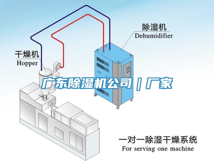 廣東91看片软件大全公司｜廠家