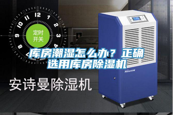庫房潮濕怎麽辦？正確選用庫房91看片软件大全