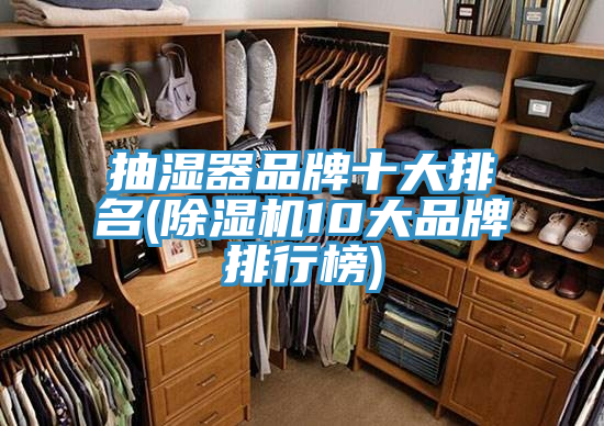 抽濕器品牌十大排名(91看片软件大全10大品牌排行榜)