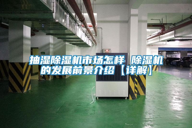 抽濕91看片软件大全市場怎樣 91看片软件大全的發展前景介紹【詳解】