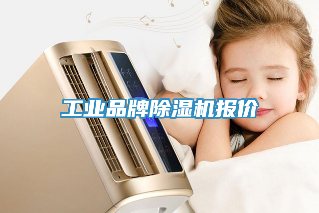 工業品牌91看片软件大全報價