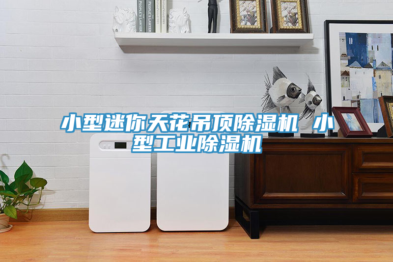 小型迷你天花吊頂91看片软件大全 小型工業91看片软件大全