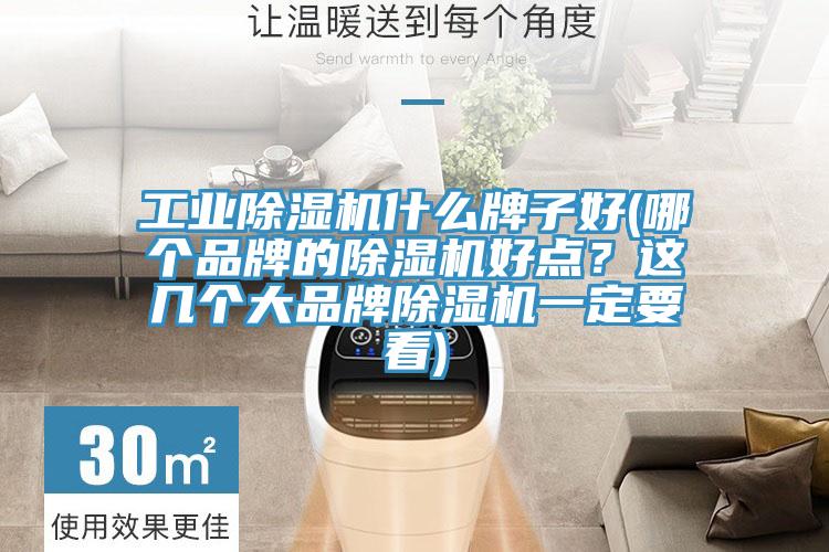 工業91看片软件大全什麽牌子好(哪個品牌的91看片软件大全好點？這幾個大品牌91看片软件大全一定要看)