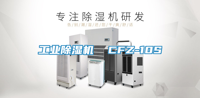 工業91看片软件大全  CFZ-10S