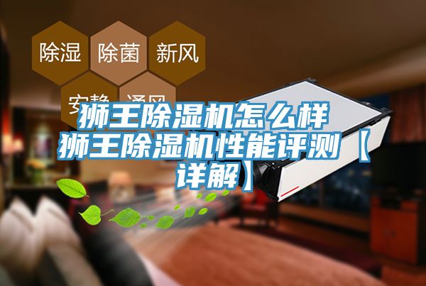 獅王91看片软件大全怎麽樣 獅王91看片软件大全性能評測【詳解】