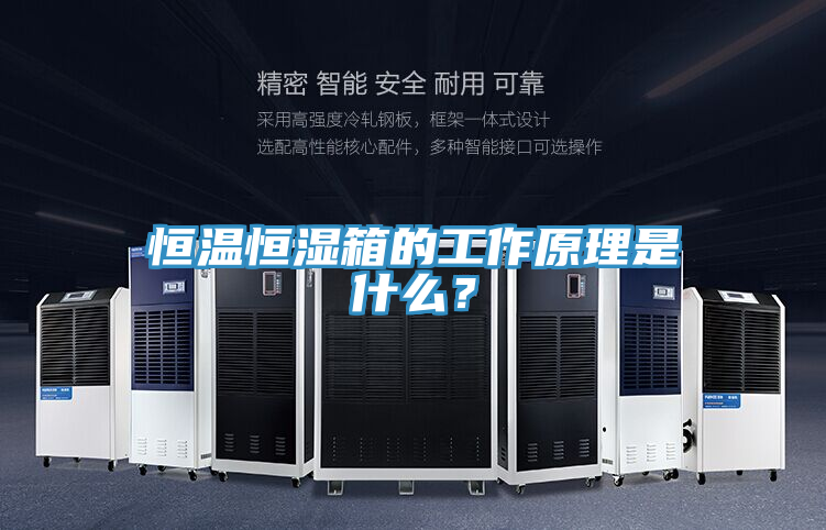 恒溫恒濕箱的工作原理是什麽？