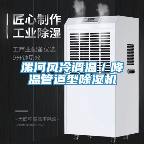 漯河風冷調溫／降溫管道型91看片软件大全
